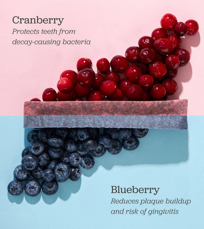 Long Lasting Dental Yak Chews - Cranberry and Blueberry Yak Chews