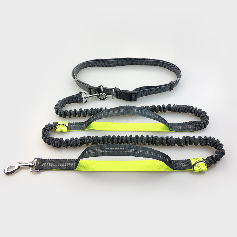 Amazon Direct Pet Supplies Multi-Function Running Reflective Pull Dog Leash Double Elastic Dog Leash Traction