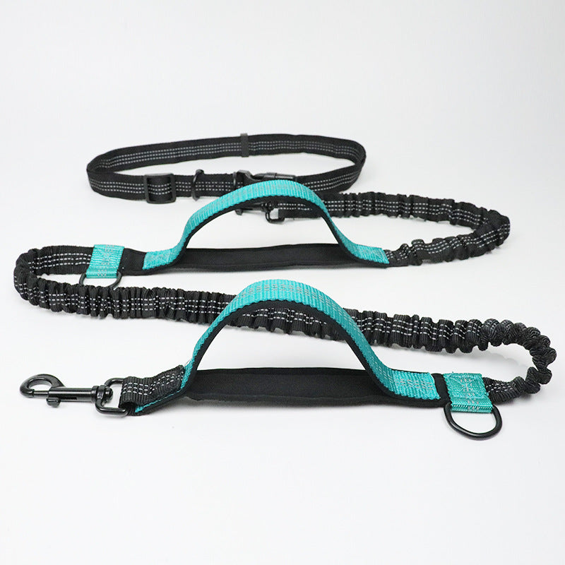 Amazon Direct Pet Supplies Multi-Function Running Reflective Pull Dog Leash Double Elastic Dog Leash Traction