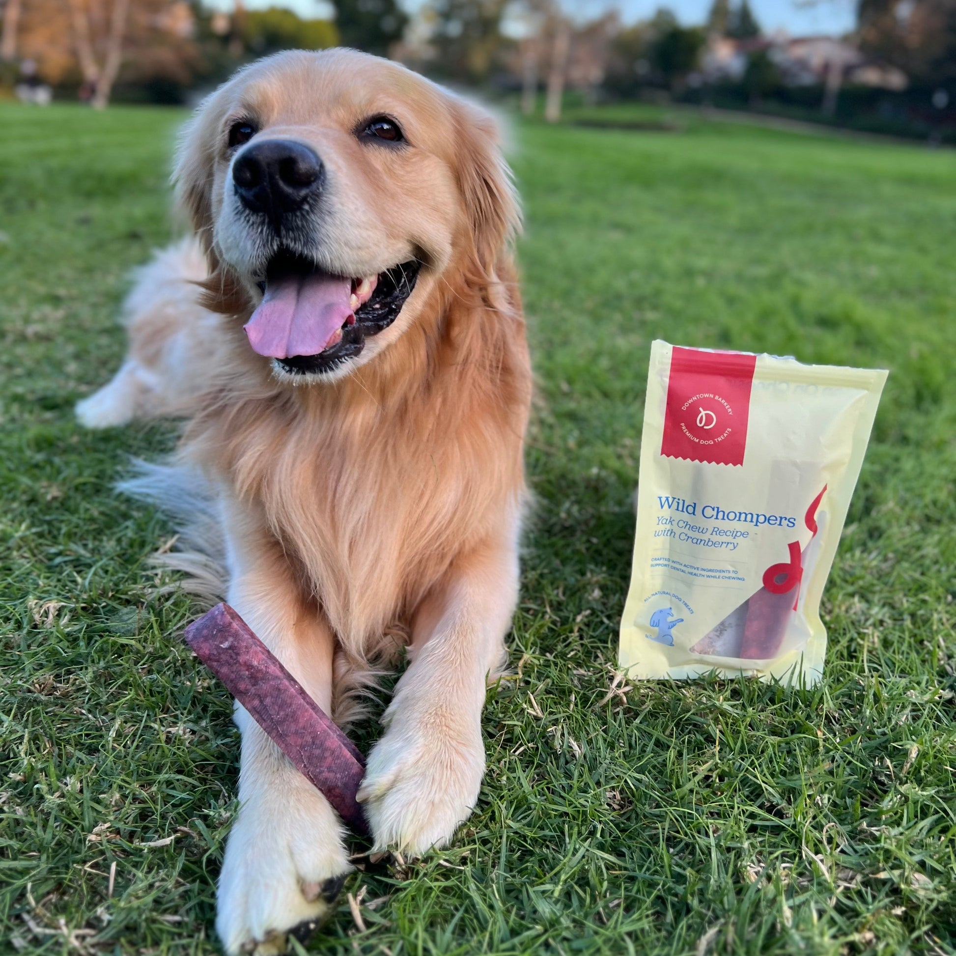 Long Lasting Dental Yak Chews - Cranberry and Blueberry Yak Chews