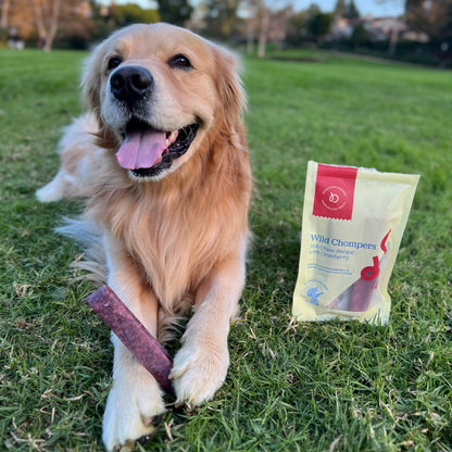 Long Lasting Dental Yak Chews - Cranberry and Blueberry Yak Chews