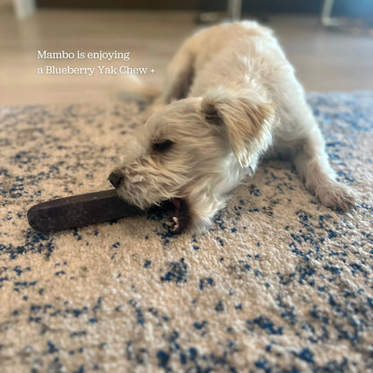 Long Lasting Dental Yak Chews - Cranberry and Blueberry Yak Chews
