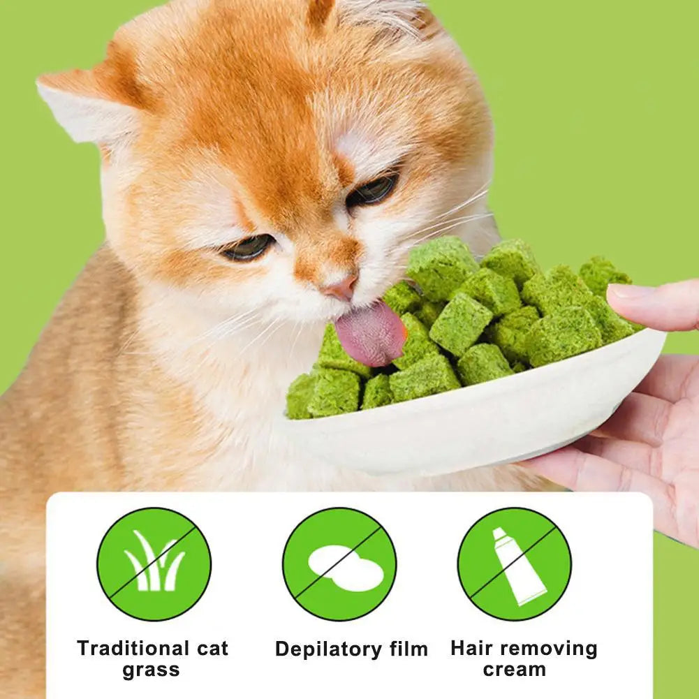 50G Cat Snacks Freeze Dried Grain Freezedried Granules Cat Grass Teeth Grinding Stick Cat Grass Granules Cat Snack