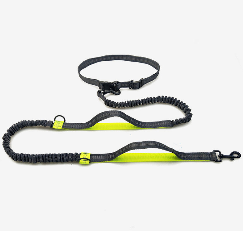 Amazon Direct Pet Supplies Multi-Function Running Reflective Pull Dog Leash Double Elastic Dog Leash Traction